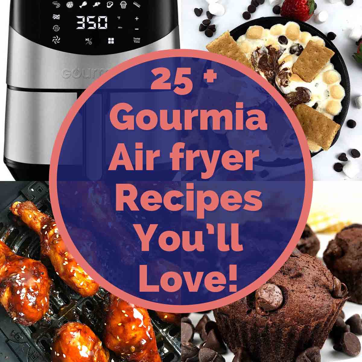 Gourmia Air fryer Recipes Air Fryer Yum